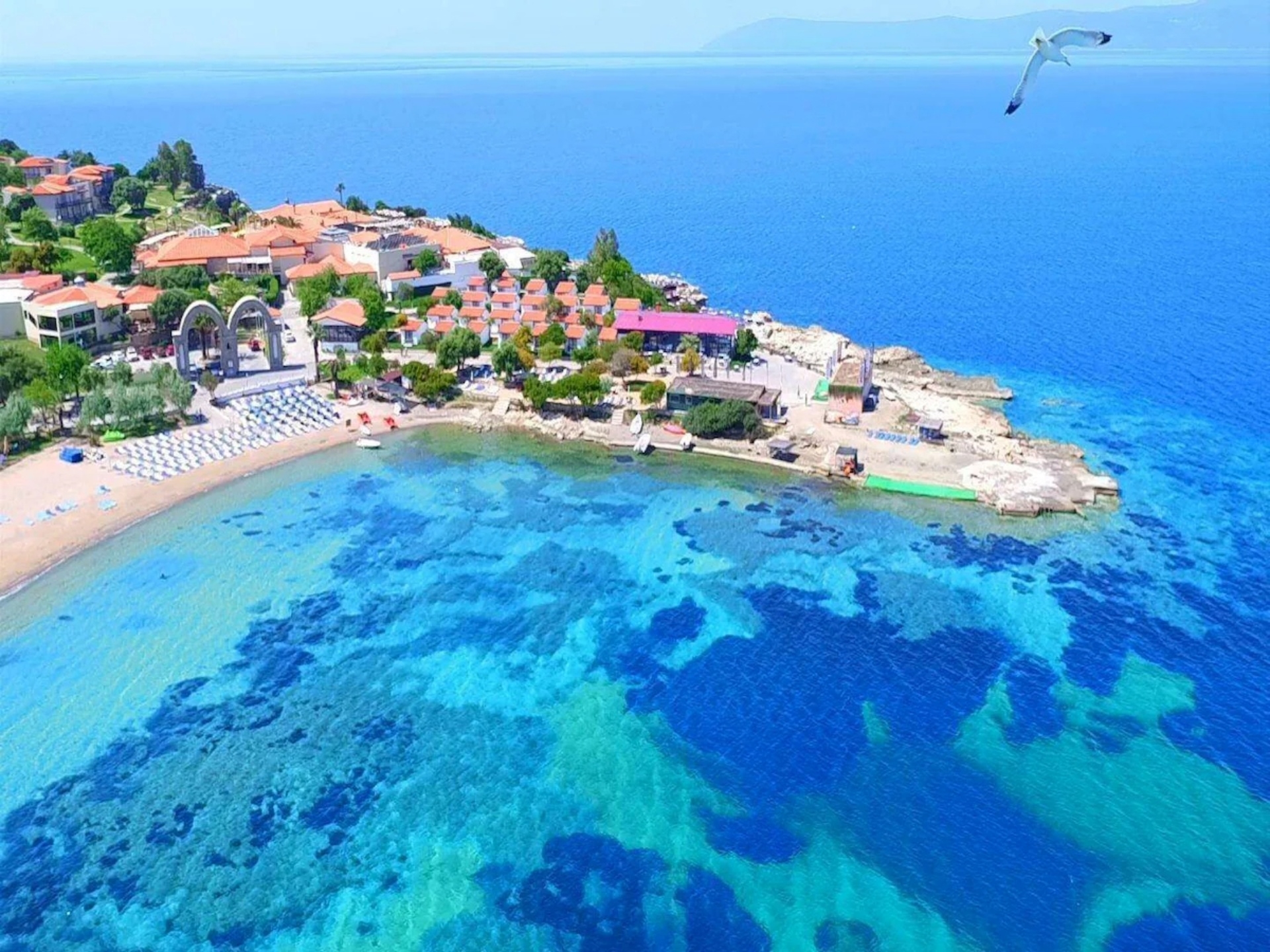 Maya Bistro Hotel