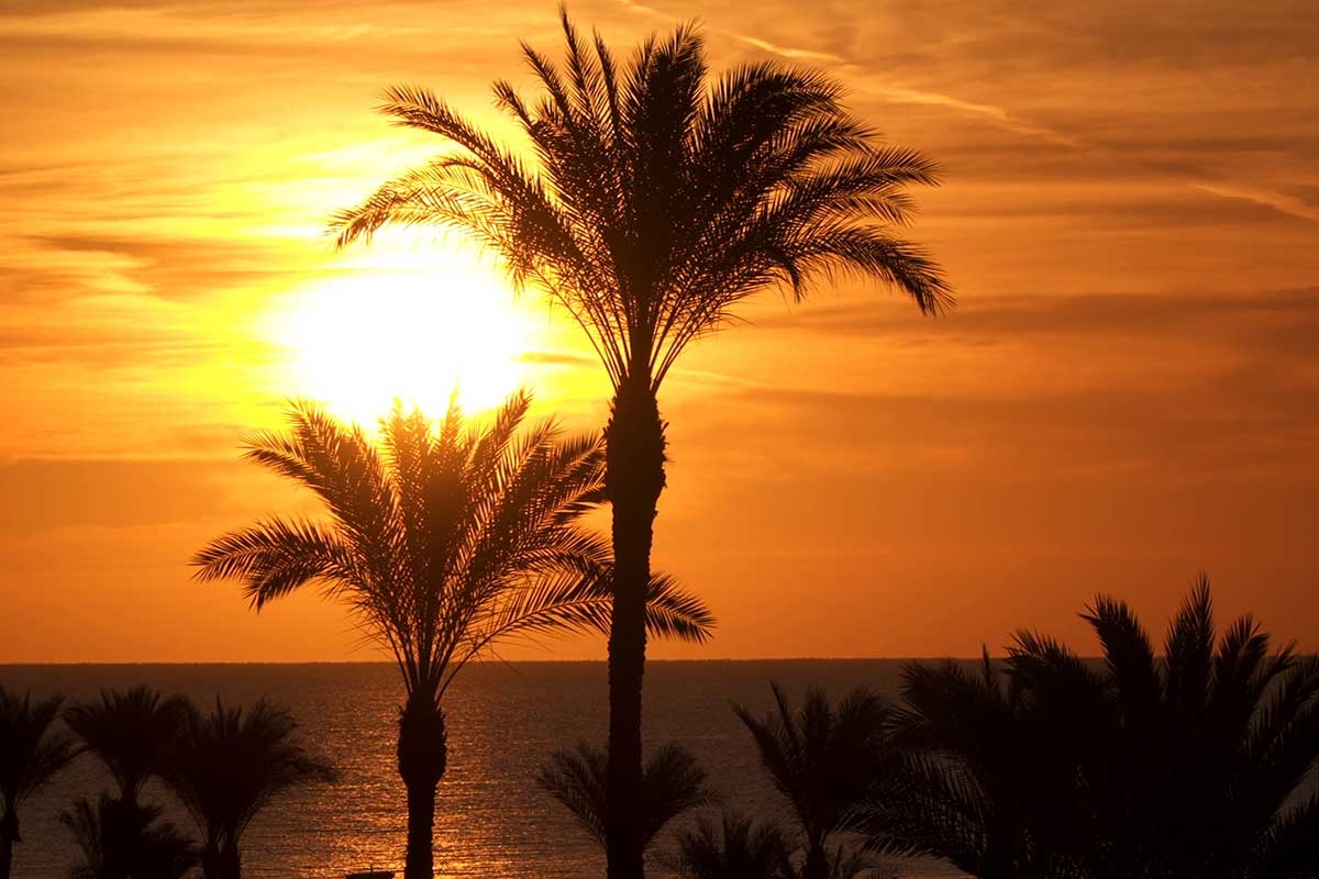 Sharm El Sheikh photo 3