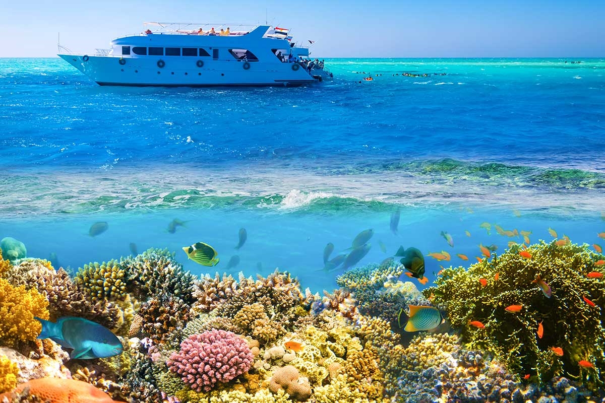 Sharm El Sheikh photo 6